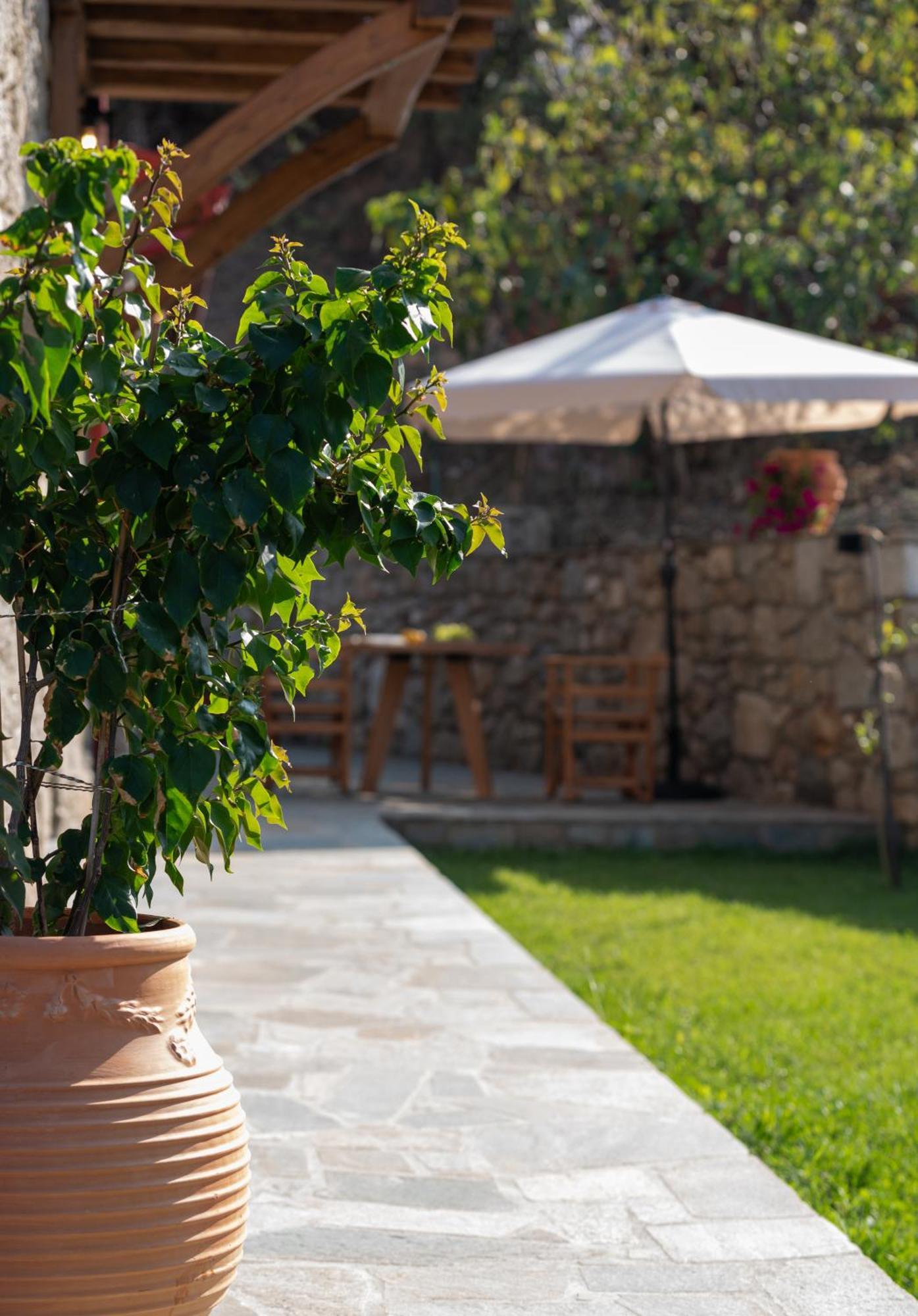 Lithos Villas Apollon Sykia Chalkidikis Ngoại thất bức ảnh